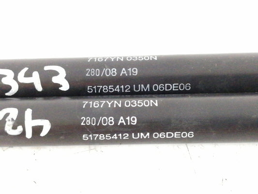 Ammortizzatori portellone posteriore fiat 500 ( 2007 > 2015 ) portello