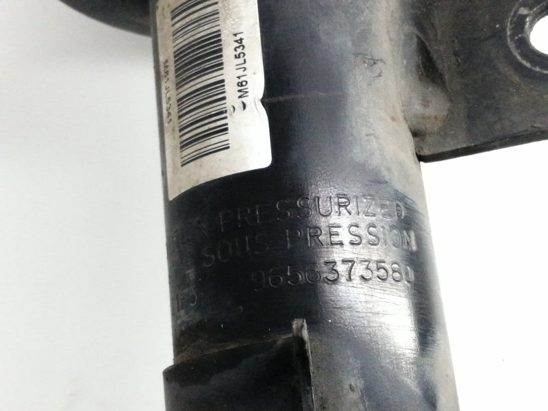 Ammortizzatori anteriori peugeot 1007 (2004 > 2010) coppia sinistra +