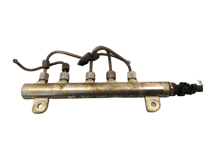 Flauto distributore carburante fiat multipla 1.9 jtd (2004) 55200264 bosch