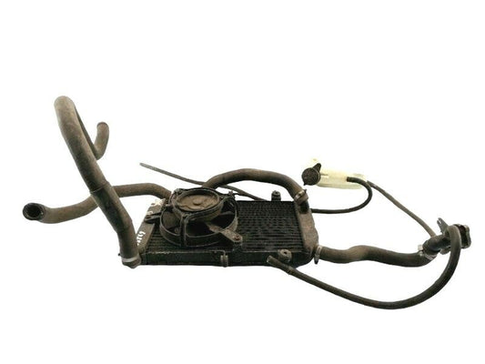 Impianto raffreddamento honda silver wing sw -t 600 (2003) radiatore