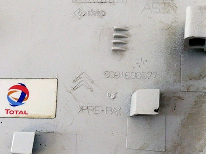 Sportello carburante citroen c3 picasso (2010) sportellino bianco