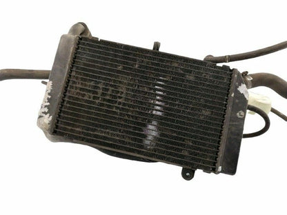 Impianto raffreddamento honda silver wing sw -t 600 (2003) radiatore