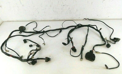 CABLAGGIO ELETTRICO APRILIA ATLANTIC 200 ( 2002 - 2004) COMPLETO - ORIGINALE