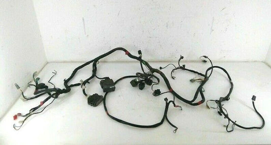 Cablaggio motore completo aprilia scarabeo 125 cc (2007 > 2012) centralina