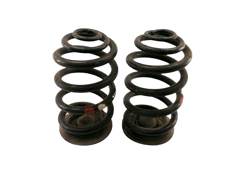 MOLLE AMMORTIZZATORI POSTERIORI BMW X3 E83 - 30xd 3.0 (2003 - 2011) COPPIA ORIG.