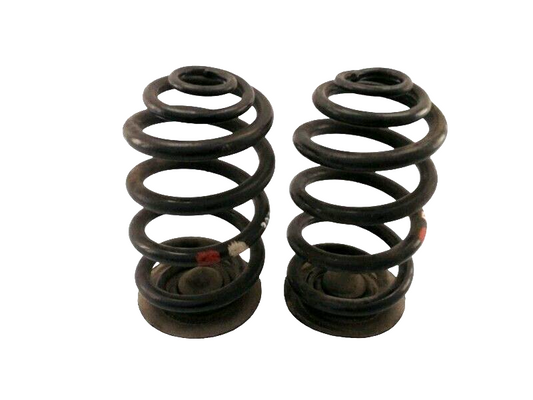 MOLLE AMMORTIZZATORI POSTERIORI BMW X3 E83 - 30xd 3.0 (2003 - 2011) COPPIA ORIG.