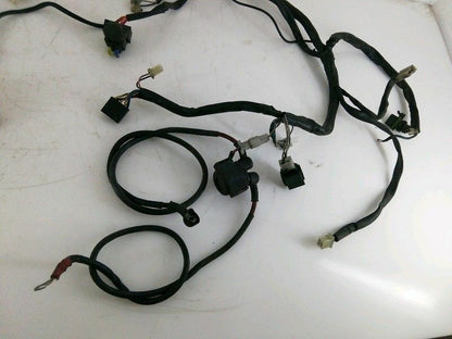 Cablaggio impianto elettrico aprilia atlantic 200 cc (2002 > 2004) completo