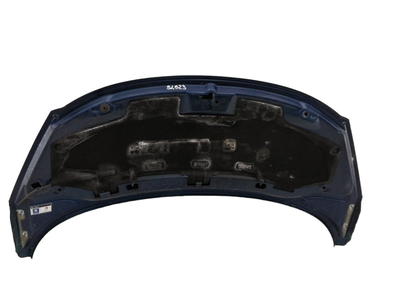 Cofano anteriore peugeot 207 - 207 sw (2006 in poi) 7901n2 blu originale