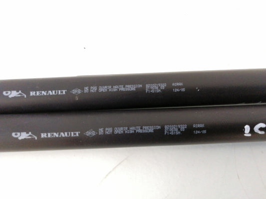 Coppia ammortizzatori portellone posteriore renault modus (2004 > 2013)