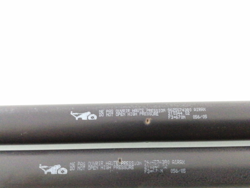Coppia ammortizzatori portellone posteriore citroen berlingo (2009)