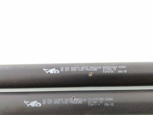 Coppia ammortizzatori portellone posteriore citroen berlingo (2009)