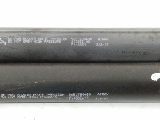 Ammortizzatori portellone posteriore peugeot 207 ( 2006 > 2009) 9650780480